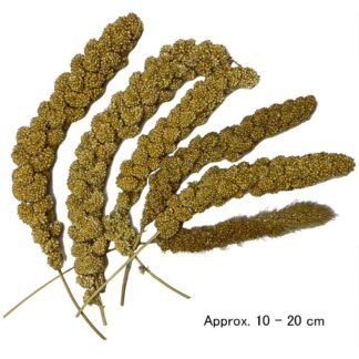 Millet Sprays (Panama)