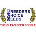 Breeders Choice Seeds
