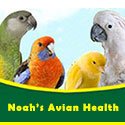 NOAH's Avian Health