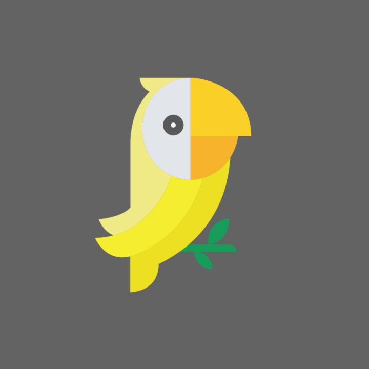 parrotstudios parrotstudios