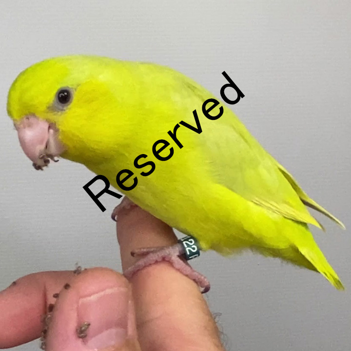 PSAM122 - reserved
