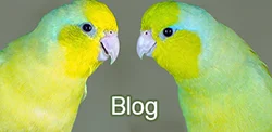 Front-page-blog-link-v2.webp